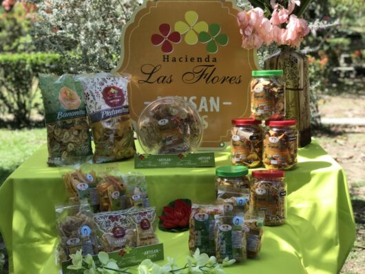 Productos_HLF_Landscape_2_web